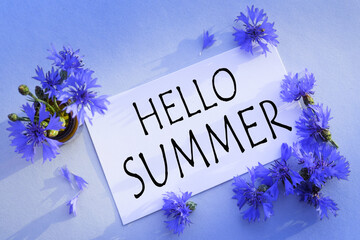 HELLO SUMMER, Blue cornflower on the blank white greeting card for congratulations .