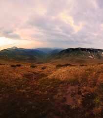 stunning summer scenery, awesome evening landscape, beautiful nature background in the mountains, Carpathians, Ukraine, Europe	