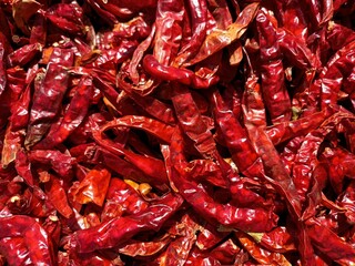 Spicy red chillies