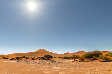 Fototapeta na wymiar Red sand dunes in Sossusvlei, Namib-Naukluft National Park, Namibia 