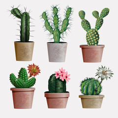 Collection of vector realistic detailed house or office plant cactus for interior design and decoration. Exotical and Popular indoor cacti with flowers for interior decor of home or office