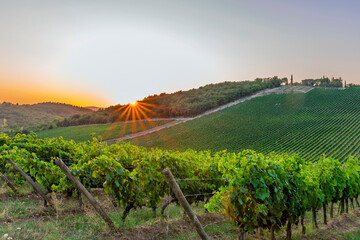 Beautiful sunset over the Chianti vineyards in the Brolio area, Siena, Italy - obrazy, fototapety, plakaty