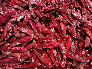 Dry red chillies, kashmiri chilli, spicy red chillies, dried chillies,indian red chillies