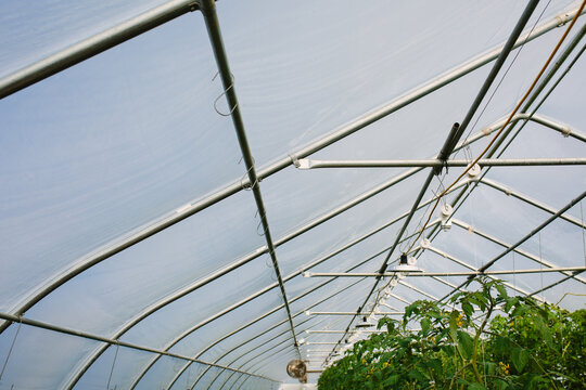 Greenhouse Trellising Equipment
