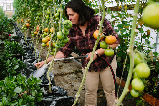 Farmer Irrigating Crops