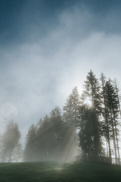 Cold misty winter landscape with sunbeams