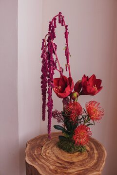 Bouquet of beautiful red flowers 