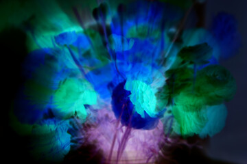 Fototapeta na wymiar Magic luminous flowers. Beautiful flowers abstract background. Inspiration fantasy image