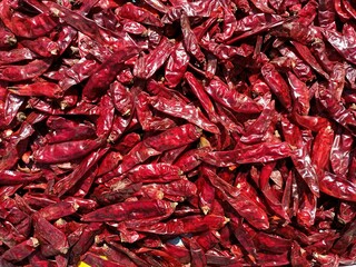 Red chilli in sunlight for drying in india