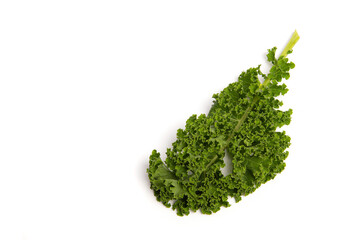 Fototapeta premium Single green leaf of the vegetable kale on a white background seen from above with space for copy