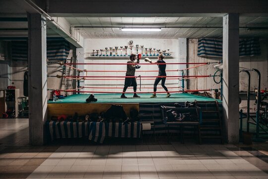 Determined boxers training in ring