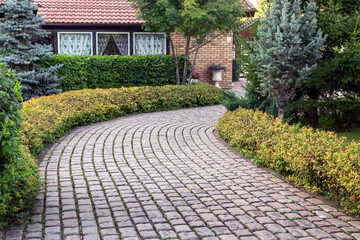 Paved alley of the park with trimmed bushes and trees. Landscaping.