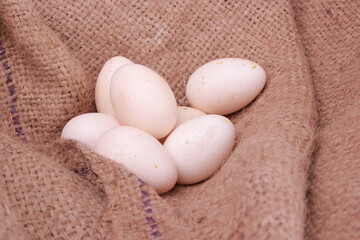  close-up organic rustic white chicken eggs on a bed of natural burlap in a basket, selective focus