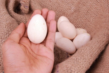 young asian boy holding fresh white shell eggs on brown cloth bed. selective focus