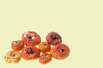 Close up view of gladiolus bulbs isolated on yellow background.