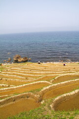 世界農業遺産 石川県輪島 白米千枚田 棚田 田植え風景
Globally Important...