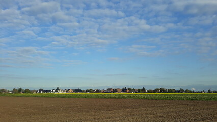 Ackerland in Sicht. Blauer Himmel über dem Weizenfeld. Weiße Wolken sind über den Himmel verstreut. Die Erde wird gepflügt und gesät. Die Siedlung ist in der Ferne zu sehen. Landhäuser Laubwand.