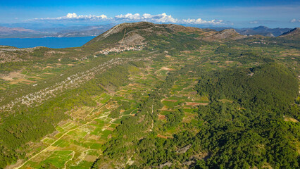 Fototapeta na wymiar Przepiękne pola uprawy winorośli nad Adriatykiem
