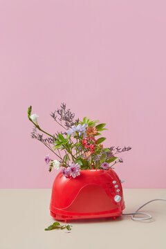 Spring flowers blooming from red toaster