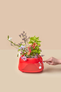 Man's hand near red toaster with blooming spring flowers