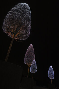Glowing trees