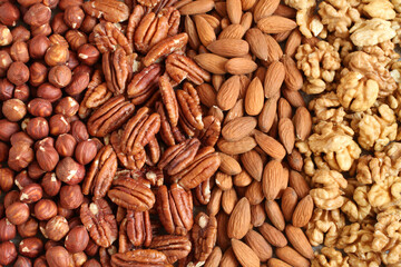Raw peeled hazelnuts, pecans, almonds and walnuts on a linen cloth. Closeup. Macro