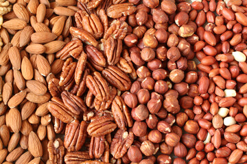 Raw peeled peanuts, hazelnuts, pecans, almonds and walnuts on a linen cloth. Closeup. Macro