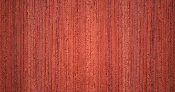 Wood and Paint - Padouk