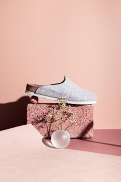 Grey Clog Shoe Fashion Accessory Woman
