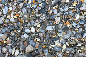 colored sea pebbles on a rocky beach close-up