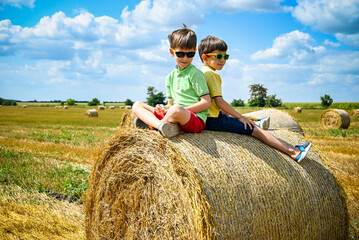 Naklejka na ściany i meble Two little boy stand among round haystack. Field with round bales after harvest under blue sky. Big round bales of straw, sheaves, haystacks