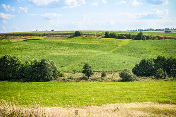 Green Grass Field Landscape with fantastic clouds in the background