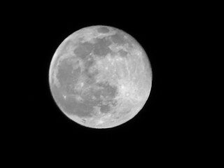 Beautiful large moon in the night sky