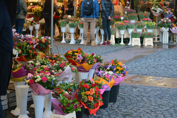Bukiet pięknych kwiatów różnokolorowych na straganie we Wrocławiu na rynku.