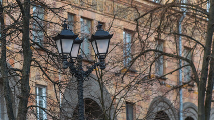 Vintage lantern with empty branches in the city on building background. Beautiful streetlight in front of old building.
