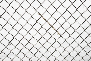Twig on a chain link fence with snow background in wintertime close up