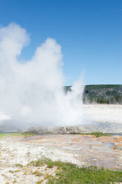 Geysers and Springs in Yellowstone National Park