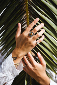 Female hands touching a palm leaf
