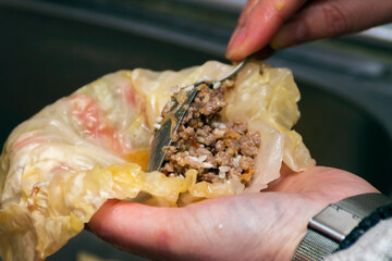 A photo of woman's hand in the process of making a traditional Serbian dish called sarma.  Adobe RGB color space.