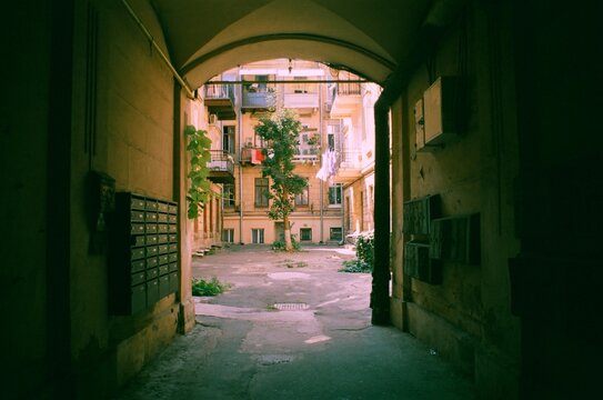 A beautiful yard in Odessa