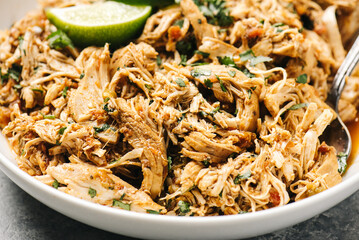 Spicy shredded salsa chicken