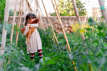 Little girl holding a hen in the orchard