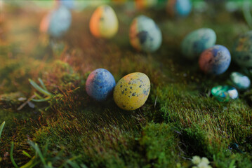 Easter colored eggs on green grass with blurred background