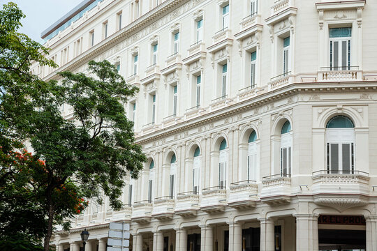 White building on diagonal perspective and a tree