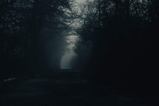 A dark lane on a misty night