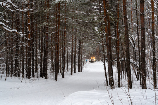 Skier and snowcat in winter park