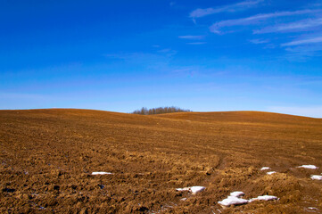 Spring landscape with empty fields and meadows for background. Agricultural industry