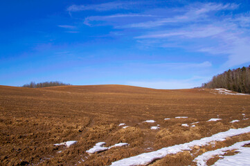Spring landscape with empty fields and meadows for background. Agricultural industry