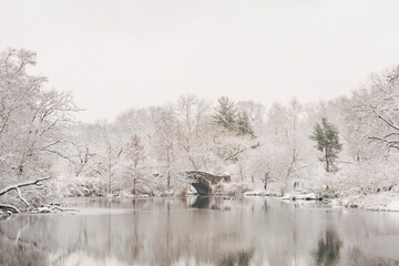 New York City Central Park in winter