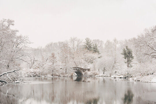 New York City Central Park in winter